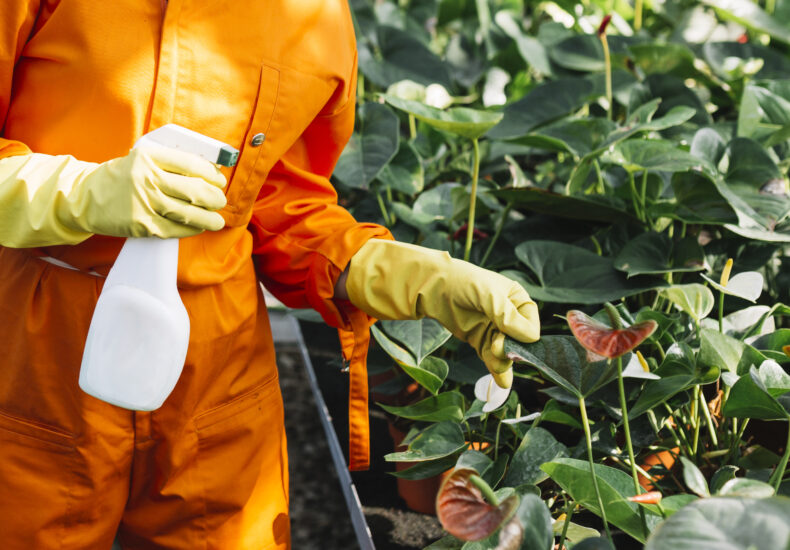 citrus pest & disease prevention program