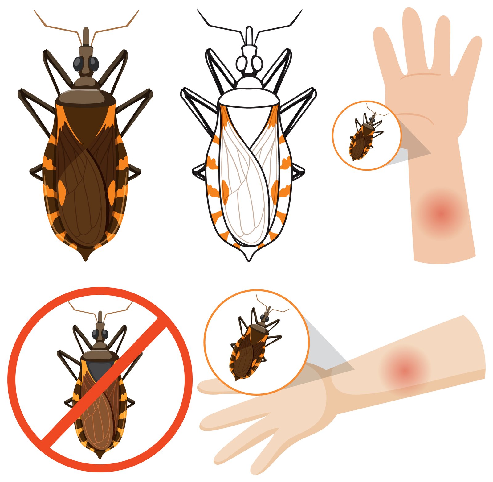 Tick Bite Lyme Disease Prevention